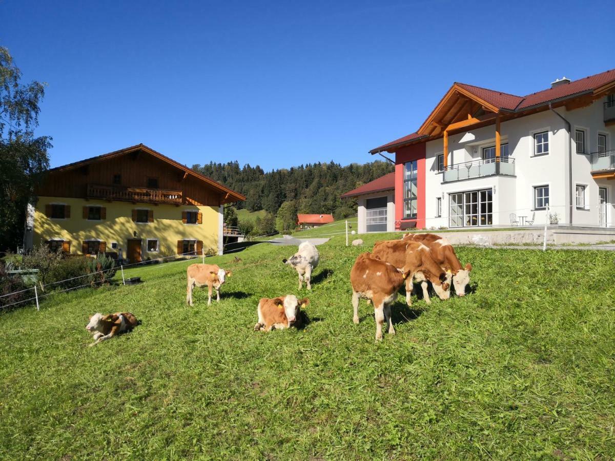 Ferienwohnung Fitzlhof Sankt Koloman Exterior foto